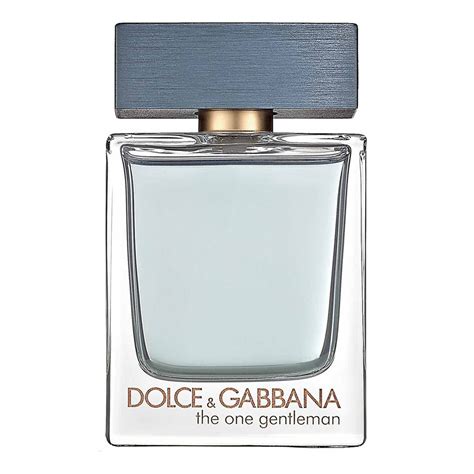 dolce gabbana one mens|d&g the one gentleman.